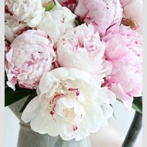 Meet your Posher, Sheila